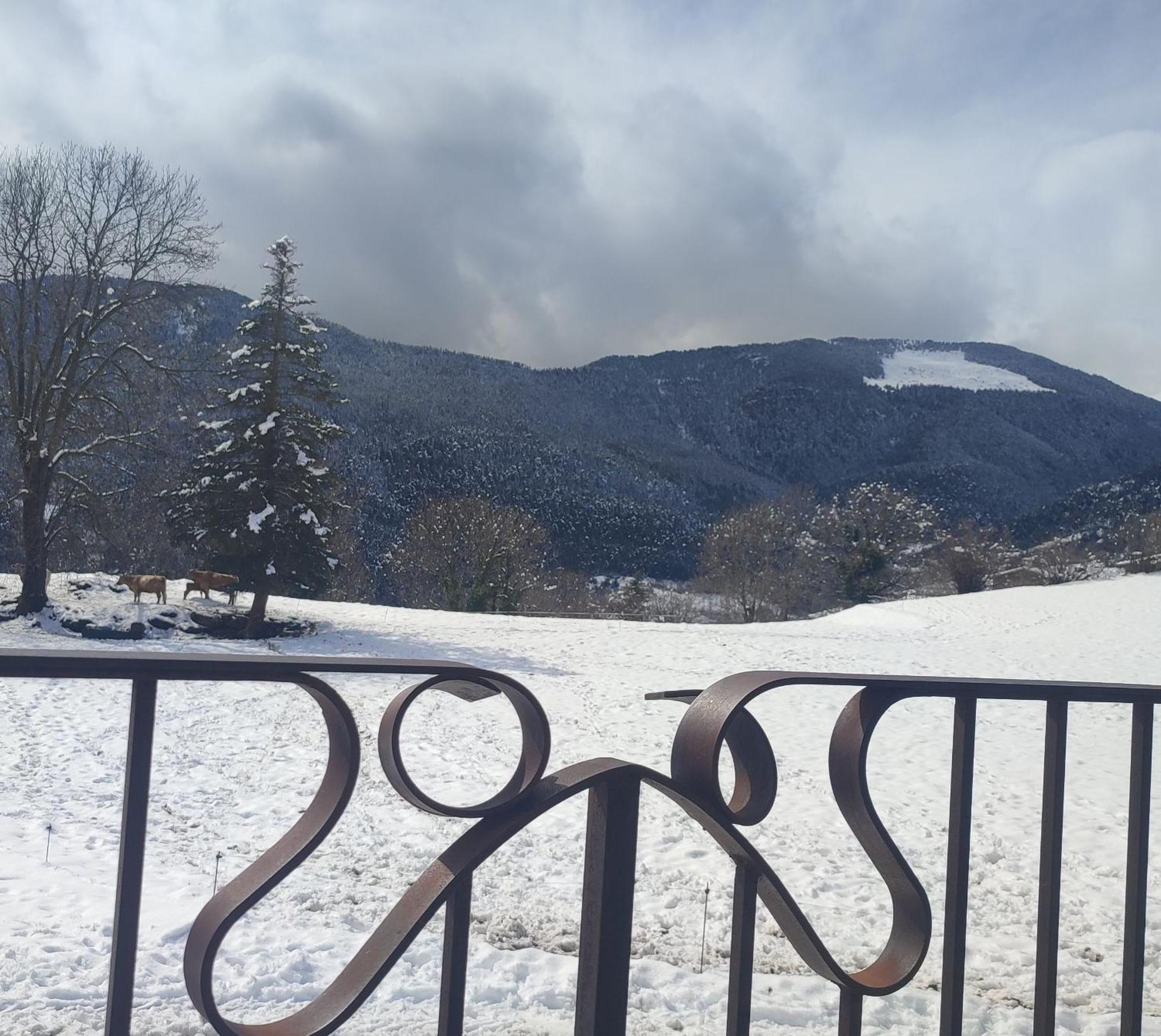 Can Tubau - Casa Rural - Apartaments Campelles エクステリア 写真